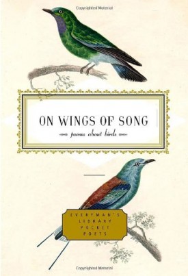 on the wings of love song writer