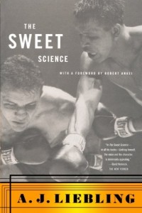 the art of the sweet science book